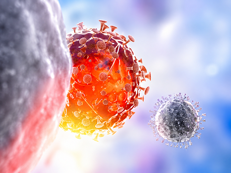 Non-Cancerous Blood Disorders