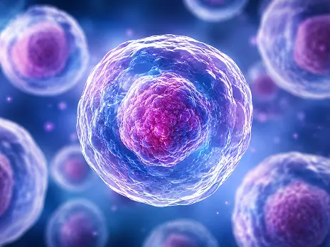 Stem Cell Transplantation