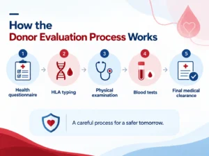 Infographic showing the 5-step bone marrow donor evaluation process: health questionnaire, HLA typing, physical examination, blood tests, and final medical clearance