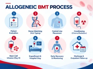 Infographic showing the 8 steps of the allogeneic bone marrow transplant process: patient evaluation, donor HLA matching, central line placement, conditioning with chemo/radiation, stem cell infusion on Day 0, engraftment and hospital stay, early recovery and monitoring, and discharge with outpatient follow-up